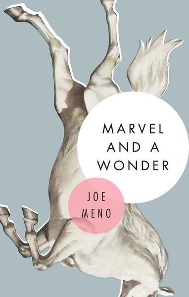Produktbild: Marvel and a Wonder
