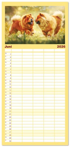 Produktbild: Familienplaner 2026 - Chow Chow Momente. Fellpoesie aus dem Reich der Mitte mit 5 Spalten (Wandkalender, 21 x 45 cm) CALVENDO