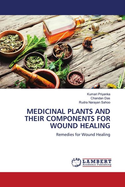 Produktbild: Medicinal Plants and Their Components For Wound Healing