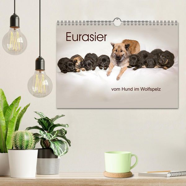 Produktbild: Eurasier, der Hund im Wolfspelz (Wandkalender 2026 DIN A4 quer), CALVENDO Monatskalender