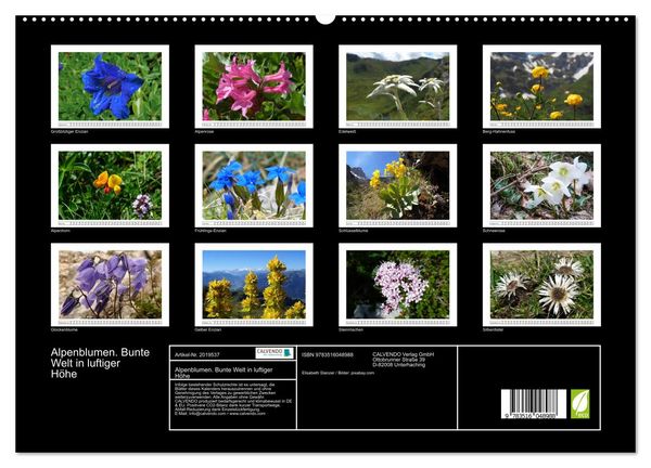 Produktbild: Alpenblumen. Bunte Welt in luftiger H&ouml;he (hochwertiger Premium Wandkalender 2026 DIN A2 quer), Kunstdruck in Hochglanz