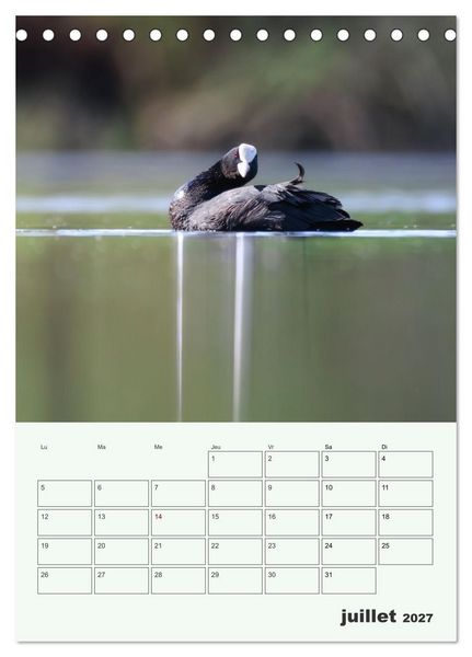 Produktbild: Le monde intime des oiseaux (Calendrier de bureau 2027 DIN A5 horizontal), CALVENDO calendrier mensuel