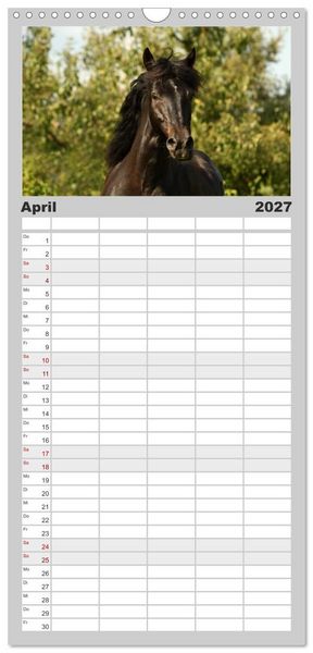 Produktbild: Familienplaner 2027 - Pferde - im Galopp durch's Jahr mit 5 Spalten (Wandkalender, 21 x 45 cm) CALVENDO