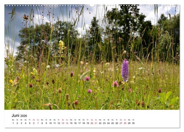 Produktbild: Zauberhafte Schw&auml;bische Alb (hochwertiger Premium Wandkalender 2026 DIN A2 quer), Kunstdruck in Hochglanz