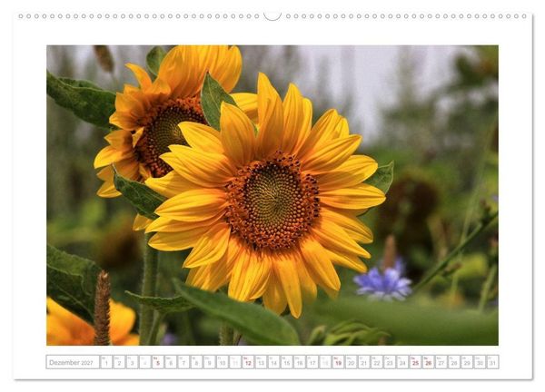 Produktbild: Sonnentage 2027 (hochwertiger Premium Wandkalender 2027 DIN A2 quer), Kunstdruck in Hochglanz