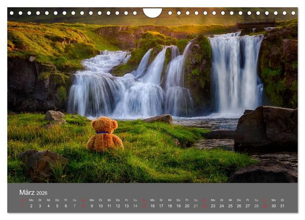 Produktbild: Travelling Teddy 2026 (Wandkalender 2026 DIN A4 quer), CALVENDO Monatskalender