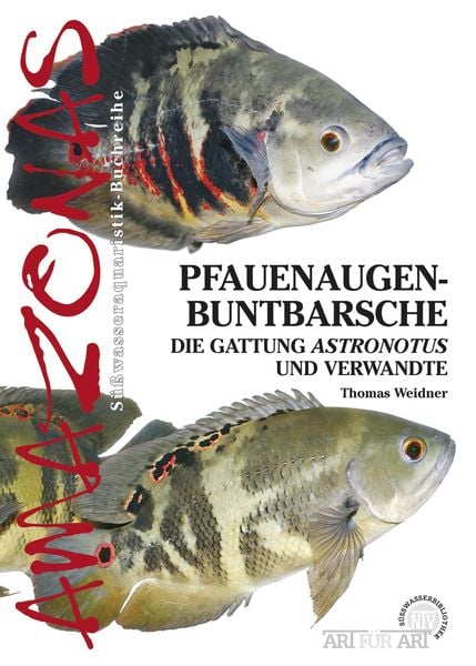 Produktbild: Pfauenaugenbuntbarsche