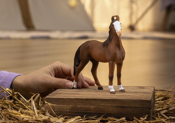 Produktbild: schleich&reg; Horse Club Marwari Stute