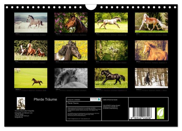 Produktbild: Pferde Tr&auml;ume (Wandkalender 2026 DIN A4 quer), CALVENDO Monatskalender