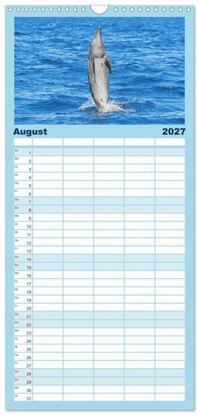 Produktbild: Familienplaner 2027 - Delfine: Elegante Wellenreiter mit 5 Spalten (Wandkalender, 21 x 45 cm) CALVENDO