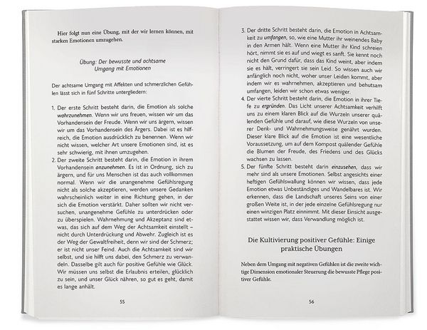 Produktbild: Der Gl&uuml;cksstandard