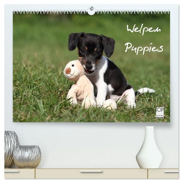 Welpen - Puppies (hochwertiger Premium Wandkalender 2026 DIN A2 quer), Kunstdruck in Hochglanz