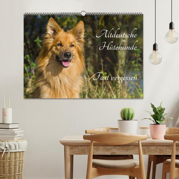 Produktbild: Altdeutsche H&uuml;tehunde - Fast vergessen (Wandkalender 2026 DIN A2 quer), CALVENDO Monatskalender