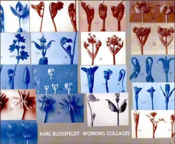 Produktbild: Karl Blossfeldt
