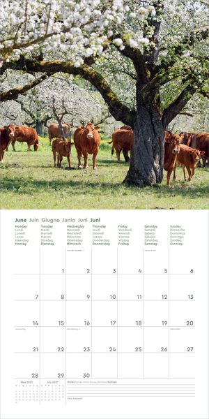 Produktbild: Deutschland - KUNTH Broschurkalender 2027
