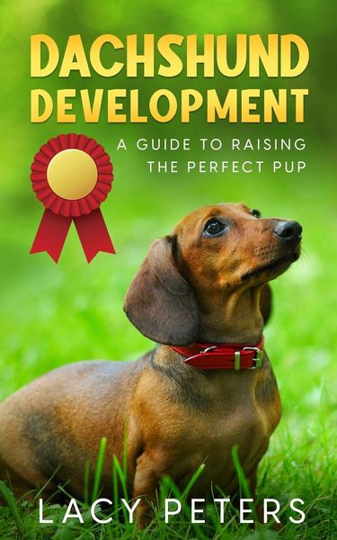 Produktbild: Dachshund Development