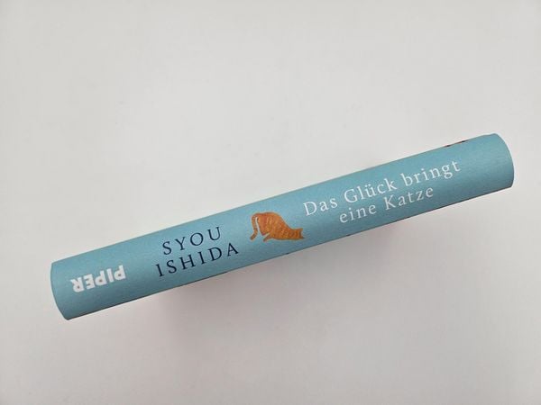Produktbild: Das Gl&uuml;ck bringt eine Katze