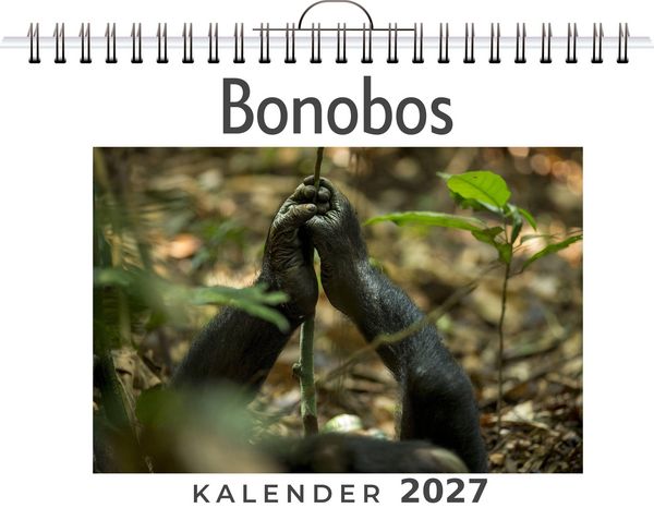 Produktbild: Bonobos