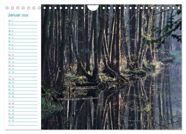 Produktbild: Wundersch&ouml;ner Spreewald (Wandkalender 2026 DIN A4 quer), CALVENDO Monatskalender