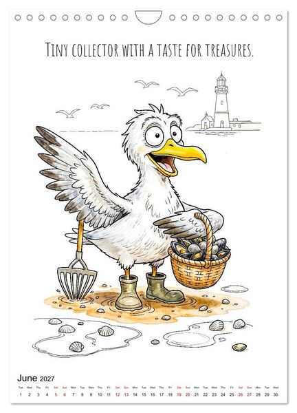 Produktbild: Seagull Shenanigan - A Coastal Year in Feathers (Wall Calendar 2027 DIN A4 portrait), CALVENDO 12 Month Wall Calendar