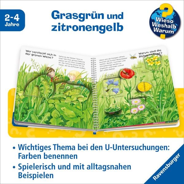 Produktbild: Wieso? Weshalb? Warum? junior, Band 13 - Welche Farbe ist das?