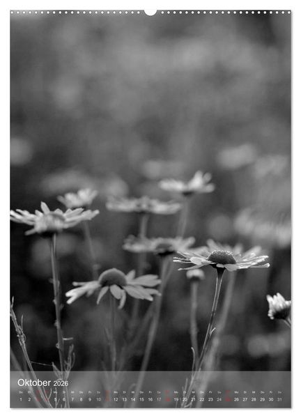 Produktbild: Monochrome Bl&uuml;ten - In Schwarz-Wei&szlig; Bildern durch das Jahr (hochwertiger Premium Wandkalender 2026 DIN A2 hoch), Kunstdruck in Hochglanz