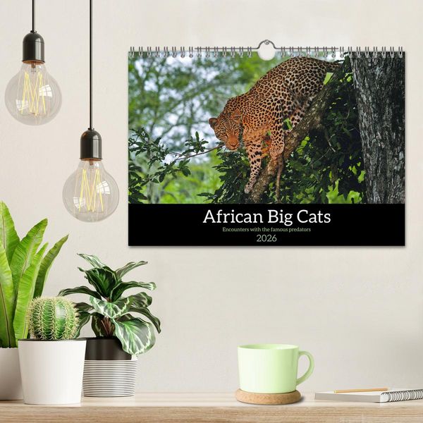 Produktbild: African Big Cats (Wall Calendar 2026 DIN A4 landscape), CALVENDO 12 Month Wall Calendar
