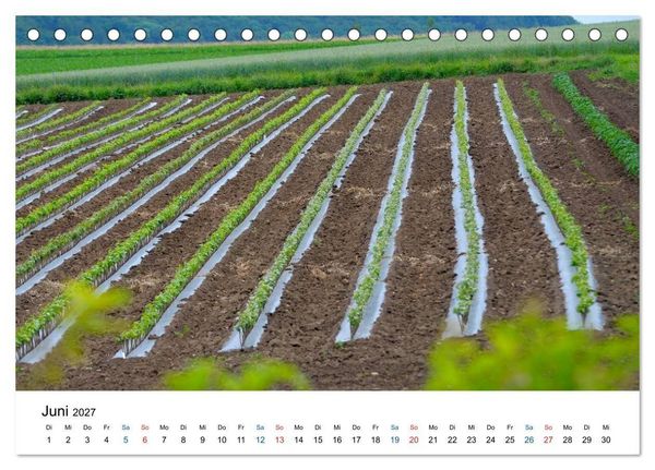 Produktbild: W&uuml;rttemberger Wein 2027 (Tischkalender 2027 DIN A5 quer), CALVENDO Monatskalender