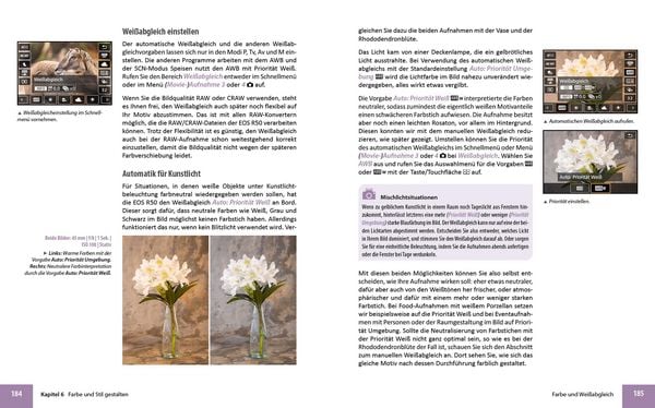 Produktbild: Canon EOS R50