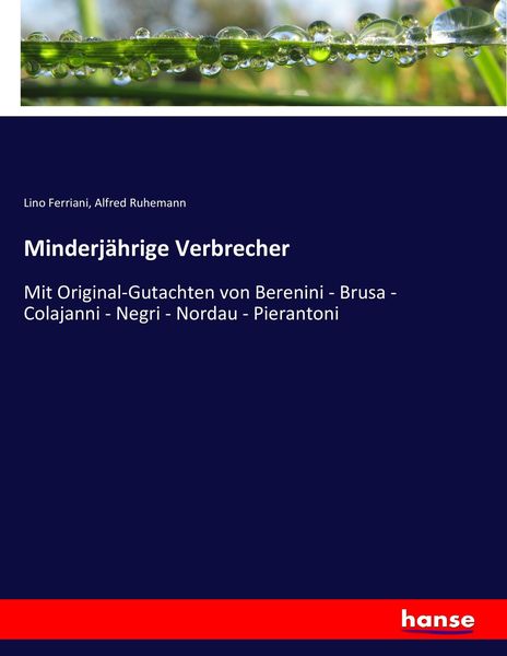Minderjährige Verbrecher, Taschenbuch von Lino Ferriani , Alfred Ruhemann, Hansebooks, 9783743610361