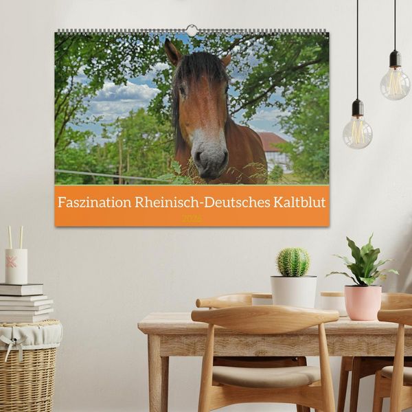 Produktbild: Faszination Rheinisch-Deutsches Kaltblut (Wandkalender 2026 DIN A2 quer), CALVENDO Monatskalender