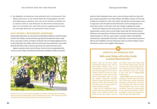 Produktbild: Der Welpen-Alltags-Helfer