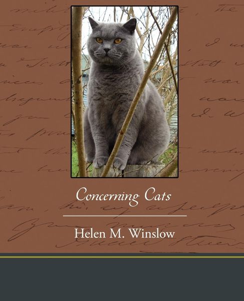 Produktbild: Concerning Cats