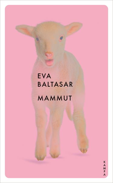 Produktbild: Mammut