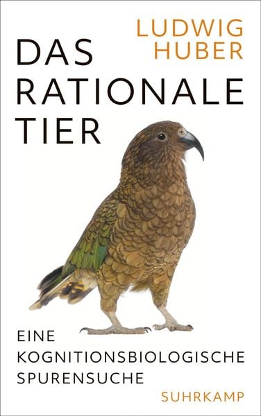 Produktbild: Das rationale Tier