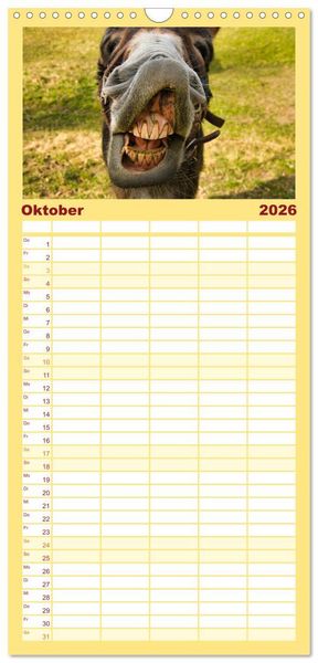 Produktbild: Familienplaner 2026 - Liebenswerte Esel mit 5 Spalten (Wandkalender, 21 x 45 cm) CALVENDO