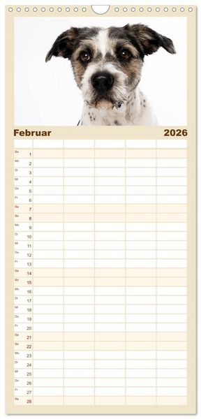 Produktbild: Familienplaner 2026 - Kleine Hunde - Gro&szlig;e Blicke mit 5 Spalten (Wandkalender, 21 x 45 cm) CALVENDO