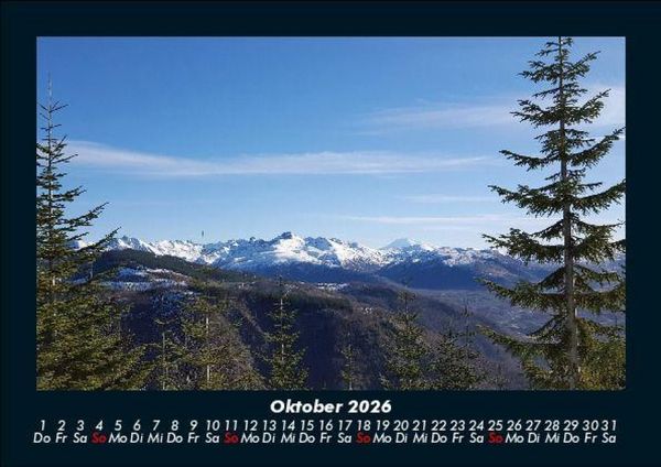 Produktbild: B&auml;ume 2026 Fotokalender DIN A5