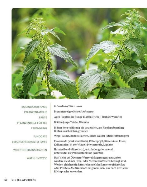 Produktbild: Die Tee-Apotheke