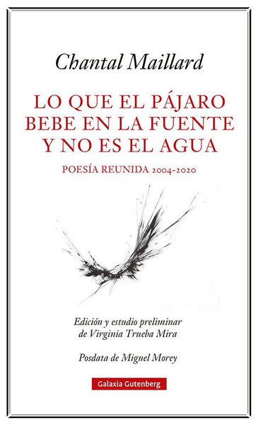 Produktbild: Lo que el p&aacute;jaro bebe en la fuente y no es el agua