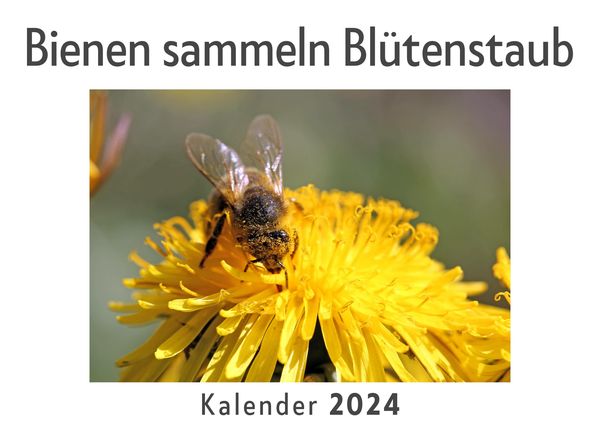 Produktbild: Bienen sammeln Bl&uuml;tenstaub (Wandkalender 2024, Kalender DIN A4 quer, Monatskalender im Querformat mit Kalendarium, Das perfekte Geschenk)