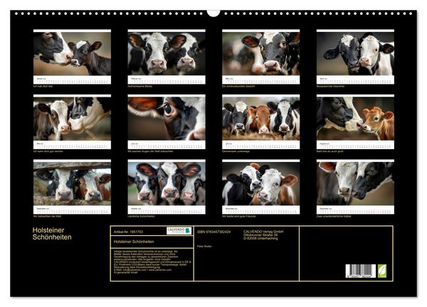 Produktbild: Holsteiner Sch&ouml;nheiten (Wandkalender 2026 DIN A2 quer), CALVENDO Monatskalender