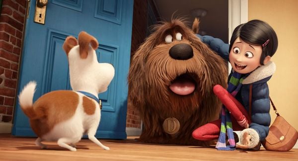 Produktbild: Pets Doppelpack: Pets 1 & Pets 2 [2 DVDs]