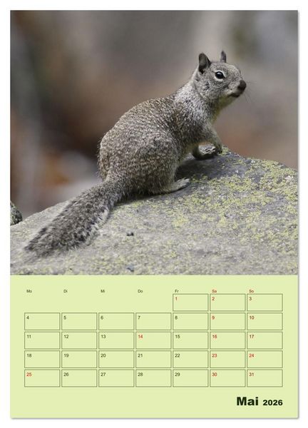 Produktbild: H&ouml;rnchen aus aller Welt (Wandkalender 2026 DIN A3 hoch), CALVENDO Monatskalender