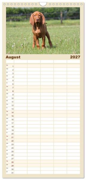 Produktbild: Familienplaner 2027 - Magyar Vizsla - Vielseitiger Jagdhund mit 5 Spalten (Wandkalender, 21 x 45 cm) CALVENDO