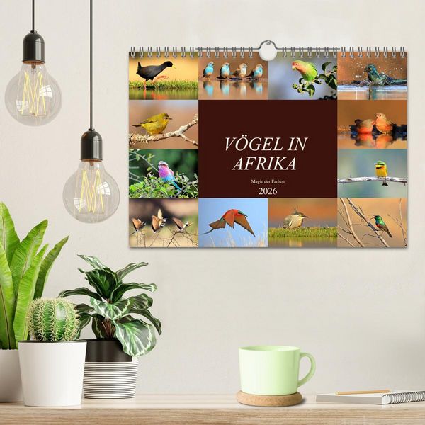 Produktbild: V&ouml;gel in Afrika - Magie der Farben (Wandkalender 2026 DIN A4 quer), CALVENDO Monatskalender
