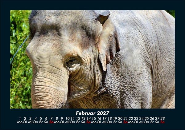 Produktbild: Der Elefantenkalender 2027 Fotokalender DIN A5