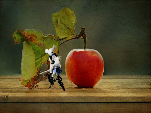 Produktbild: CALVENDO Puzzle Familie Maus und der Apfel | 1000 Teile Lege-Gr&ouml;&szlig;e 64x48cm Foto-Puzzle f&uuml;r gl&uuml;ckliche Stunden