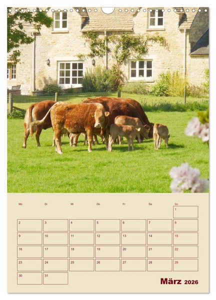 Produktbild: Die Cotswolds Englands gr&uuml;nes Herz (Wandkalender 2026 DIN A3 hoch), CALVENDO Monatskalender