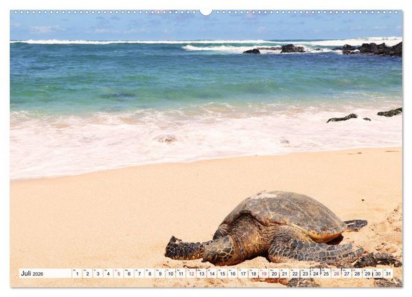 Produktbild: Hawaii the Aloha State (Wandkalender 2026 DIN A2 quer), CALVENDO Monatskalender
